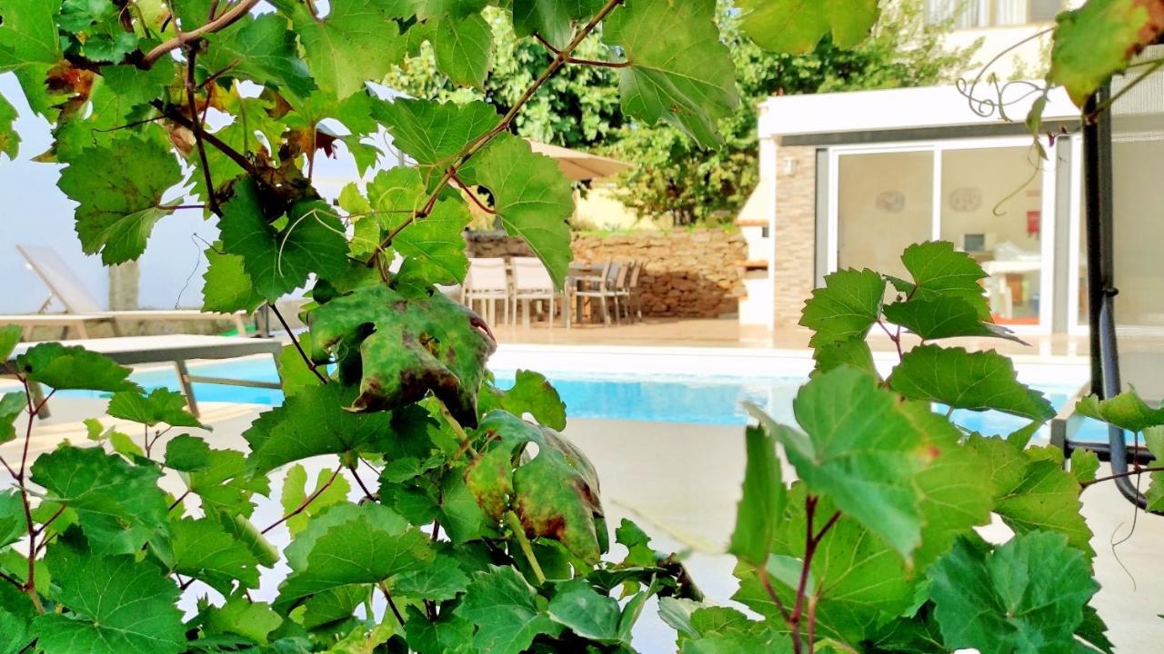 Villa D'Uvale Douro Alijo Ngoại thất bức ảnh
