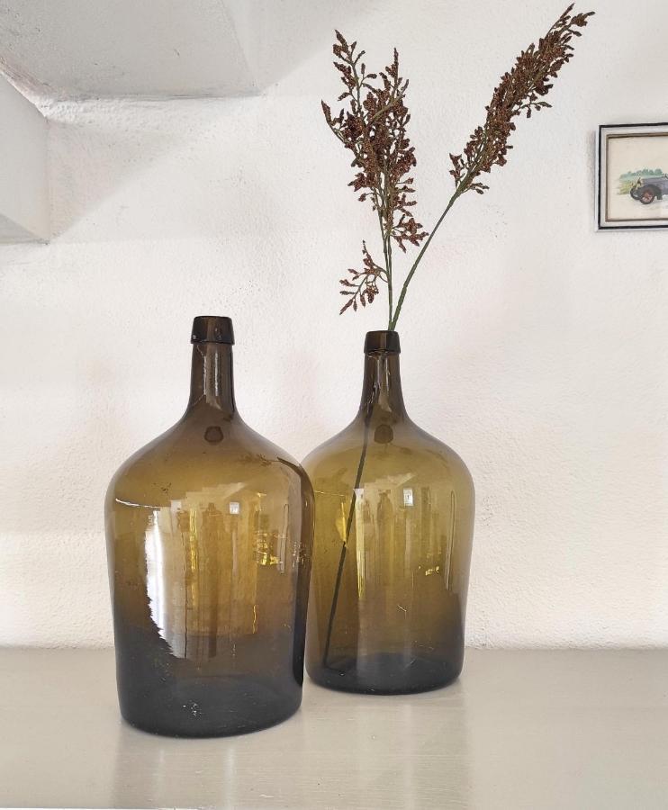 Villa D'Uvale Douro Alijo Ngoại thất bức ảnh