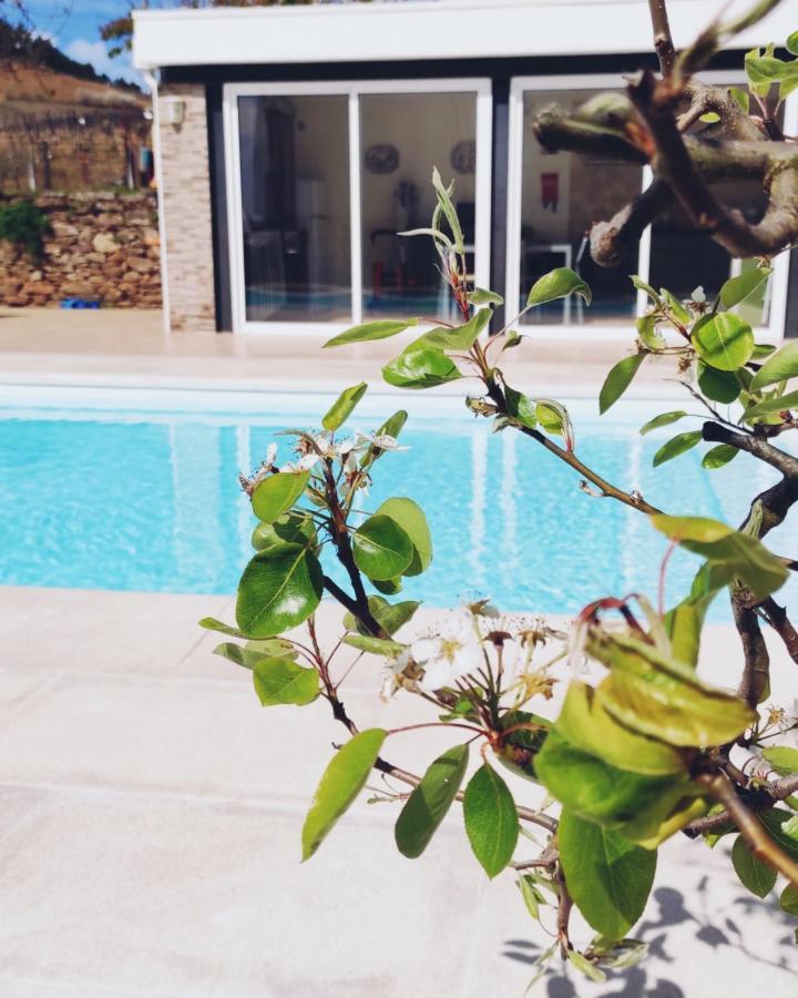 Villa D'Uvale Douro Alijo Ngoại thất bức ảnh